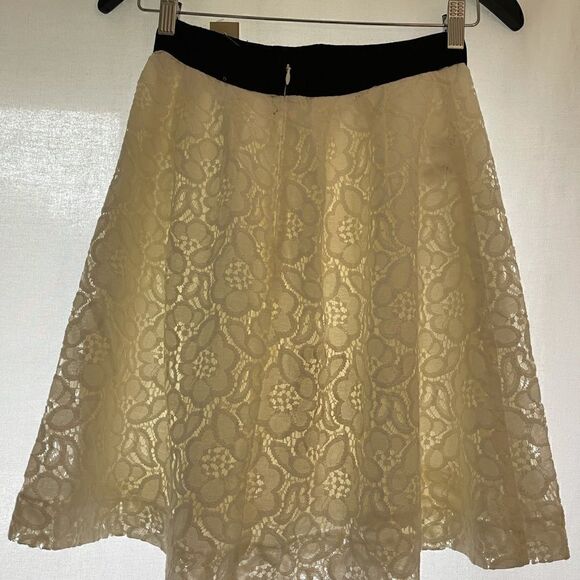Loft lace skirt - Picture 13 of 14